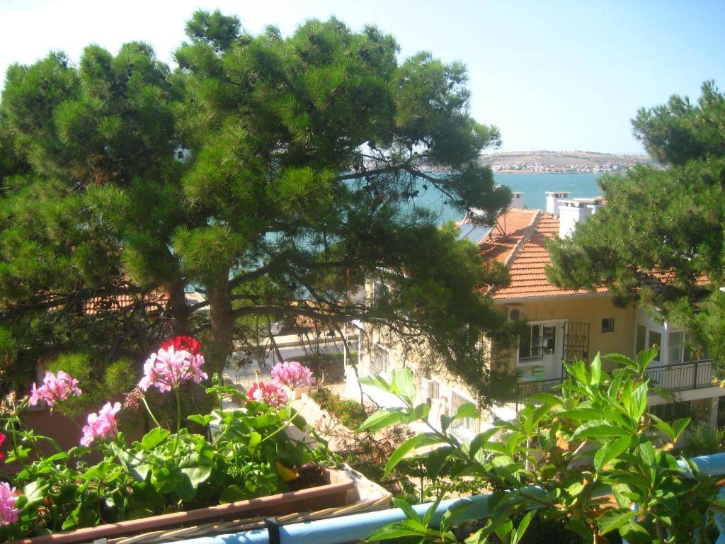 Mavi Pension Hotel Ayvalı Kültér fotó