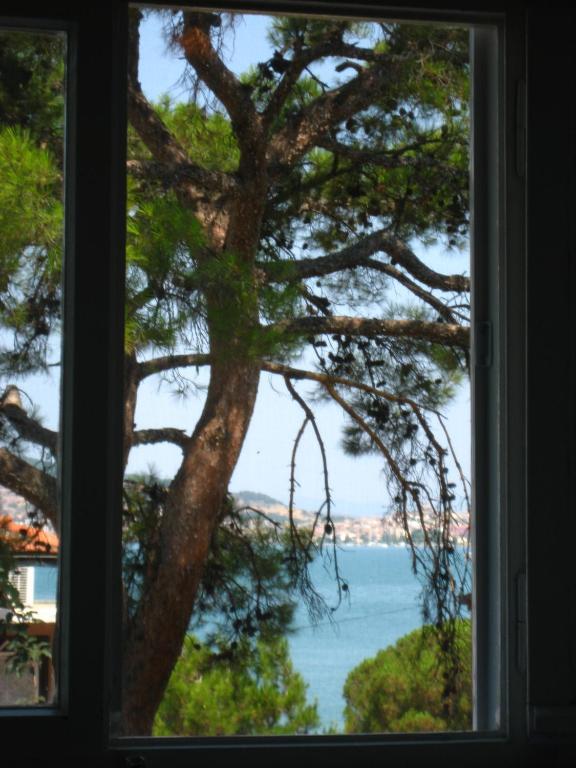 Mavi Pension Hotel Ayvalı Kültér fotó