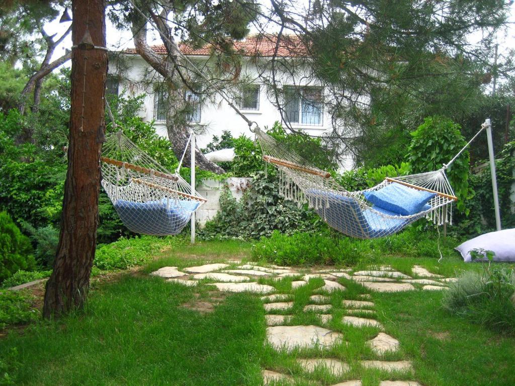 Mavi Pension Hotel Ayvalı Kültér fotó